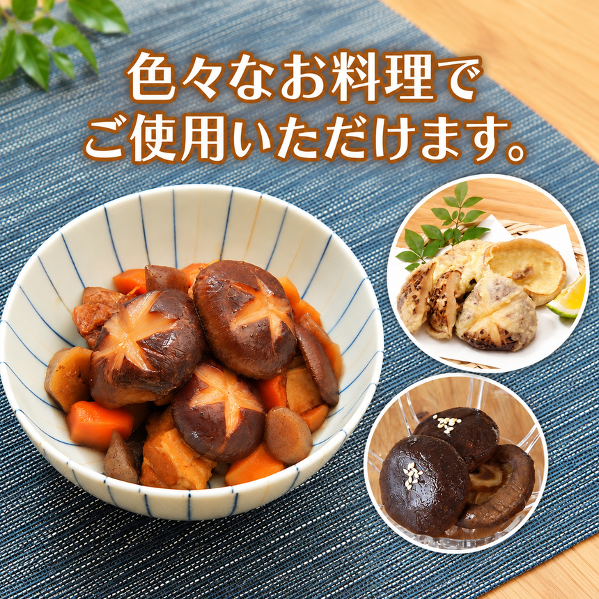 乾燥椎茸 訳あり 椎茸 300g
