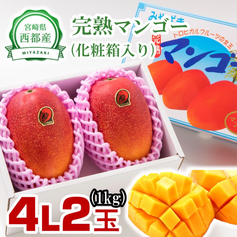 2027年発送【糖度12度以上】宮崎県西都市産 完熟マンゴー 大玉4Lサイズ2個 特大サイズ【先行予約】<26-2a>