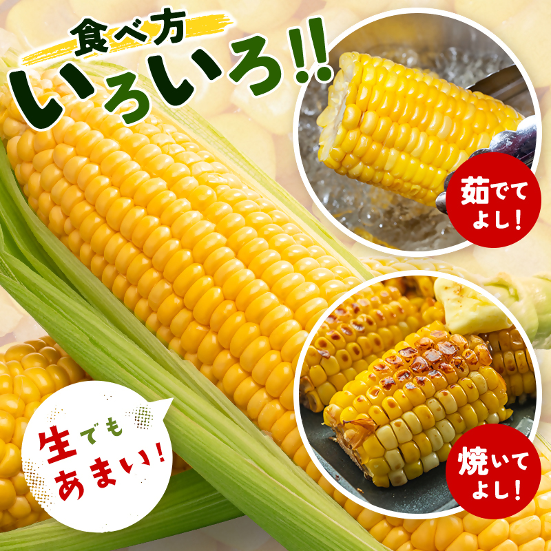 2027年発送 初夏の味覚 !スイートコーン【ゴールドラッシュ】18~22本 約7kg 西都市特産【先行予約】トウモロコシ とうもろこし<18-2a>