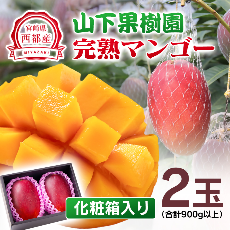2027年発送【マンゴー専門 山下果樹園】完熟マンゴー 2玉 合計900g以上 生産者直送【先行予約】<61-2a>