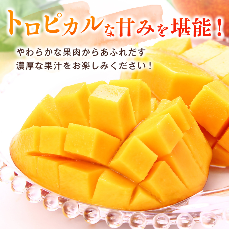 2027年発送 宮崎県西都市産完熟マンゴー2L×2個 西都市特産品 宮崎マンゴー 先行予約<18-5a>