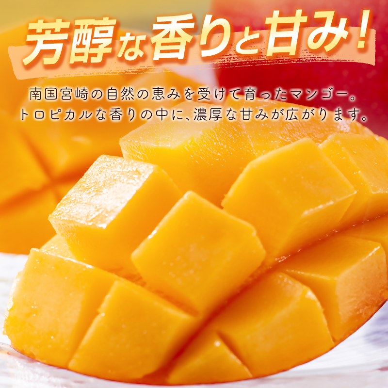 2027年発送 宮崎県西都市産完熟マンゴー2L×2個 西都市特産品 宮崎マンゴー 先行予約<18-5a>