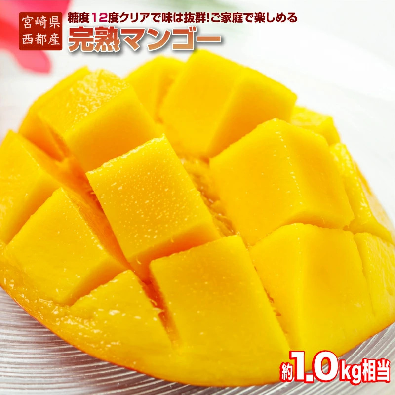 2027年発送【JA選果】訳ありご家庭用 完熟マンゴー 約1kg 糖度12度以上 3~4玉入り【先行予約】西都産<2-3a>