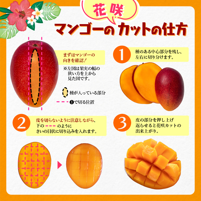 2027年発送【JA選果】訳ありご家庭用 完熟マンゴー 約1kg 糖度12度以上 3~4玉入り【先行予約】西都産<2-3a>