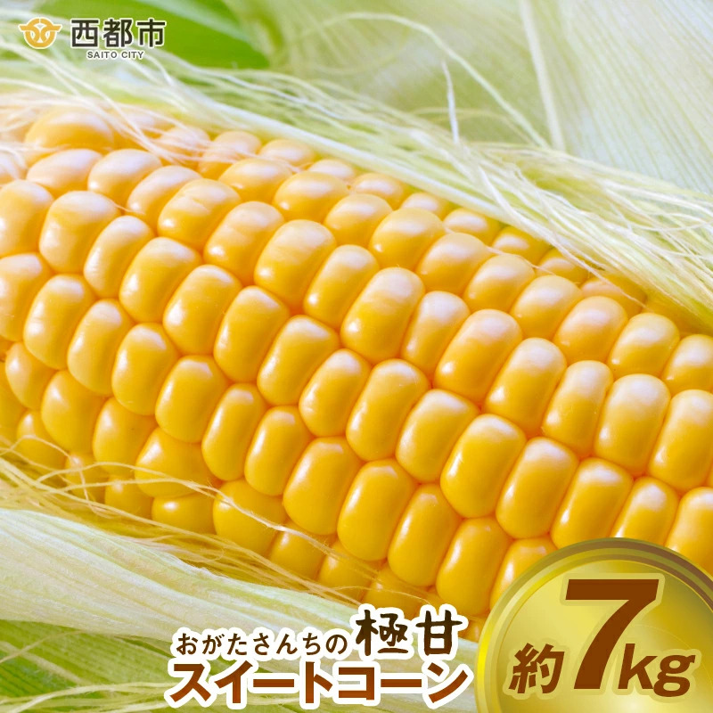 2027年発送　鮮度が命！生産者直送 緒方さんちの朝どれスイートコーン『イエロー』7kg【先行予約】トウモロコシ とうもろこし＜23-2b＞