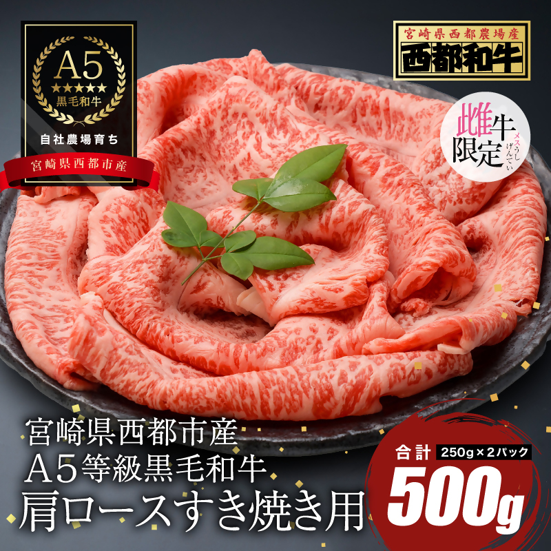 【雌牛限定！最高品質のA5等級 】厳選の黒毛和牛 肩ローススライス500g （250g×2）オレイン酸含有率55%以上【カミチクファーム・西都和牛】お歳暮ギフト対応品＜62-2a＞＜62-2a-1＞