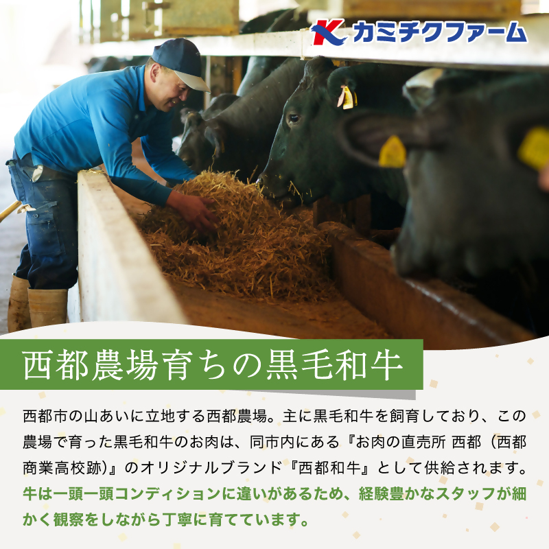 【雌牛限定！最高品質のA5等級 】厳選の黒毛和牛 肩ローススライス500g （250g×2）オレイン酸含有率55%以上【カミチクファーム・西都和牛】お歳暮ギフト対応品＜62-2a＞＜62-2a-1＞