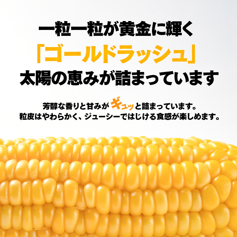 2027年発送 朝どれ スイートコーン ゴールドラッシュ 約7kg 20本 西都市産とうもろこし トウモロコシ 先行予約<26-7a>