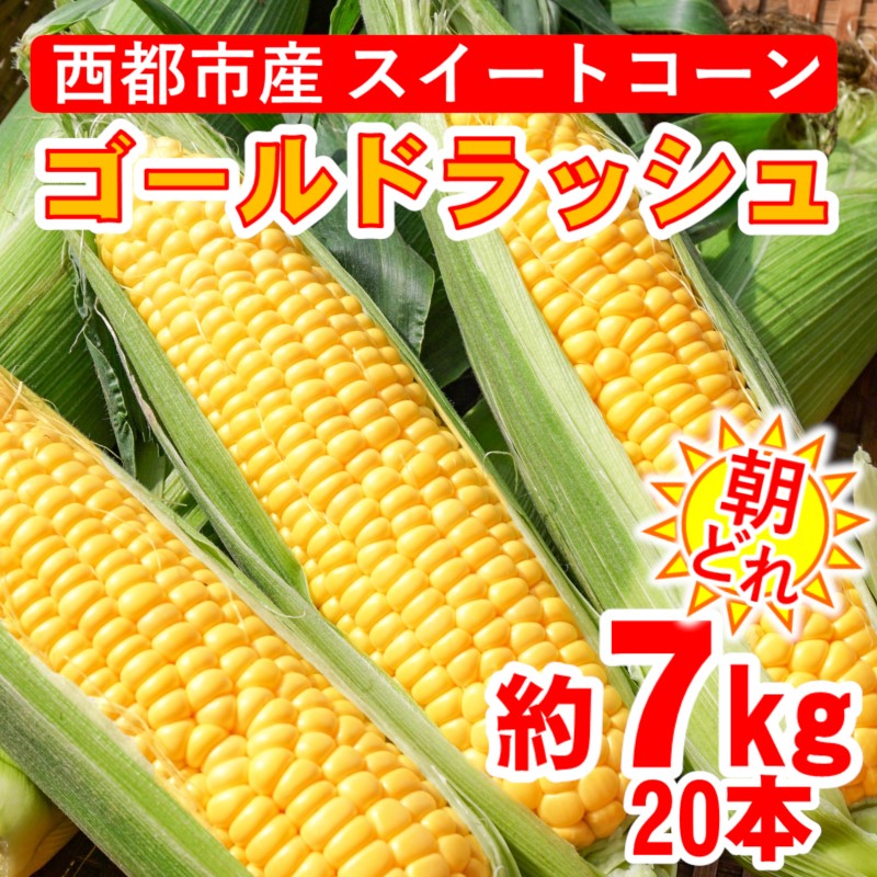 2027年発送 朝どれ スイートコーン ゴールドラッシュ 約7kg 20本 西都市産とうもろこし トウモロコシ 先行予約<26-7a>