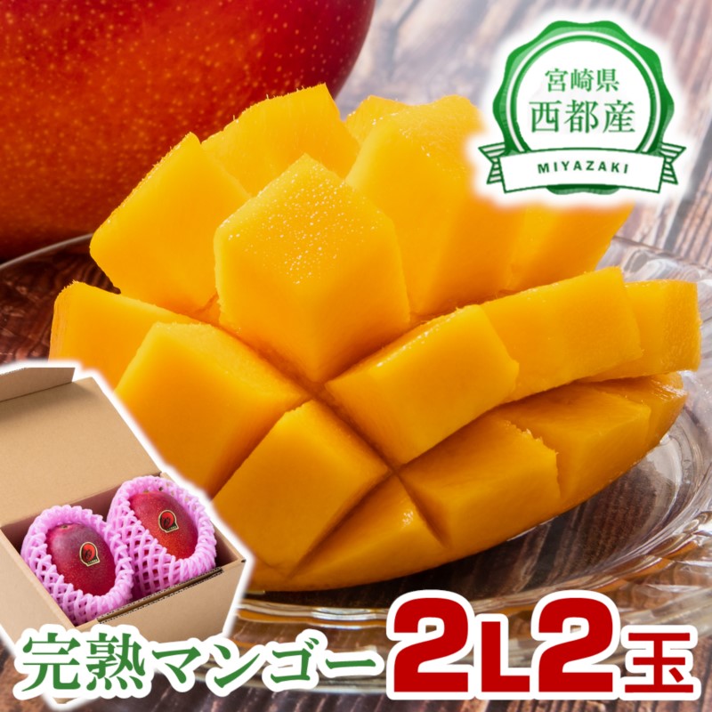 2027年発送【JA選果】完熟マンゴー 2L×2玉 糖度12度以上 宮崎県園芸ブランド検査協会の基準クリア 先行予約<26-11a>
