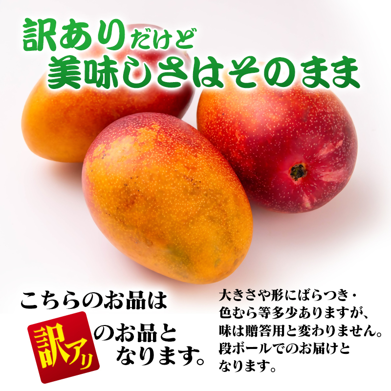 2027年発送【JA選果】訳あり 完熟マンゴー 特大4L×3玉 糖度12度以上 宮崎県園芸ブランド検査協会の基準クリア 先行予約＜26-13a＞