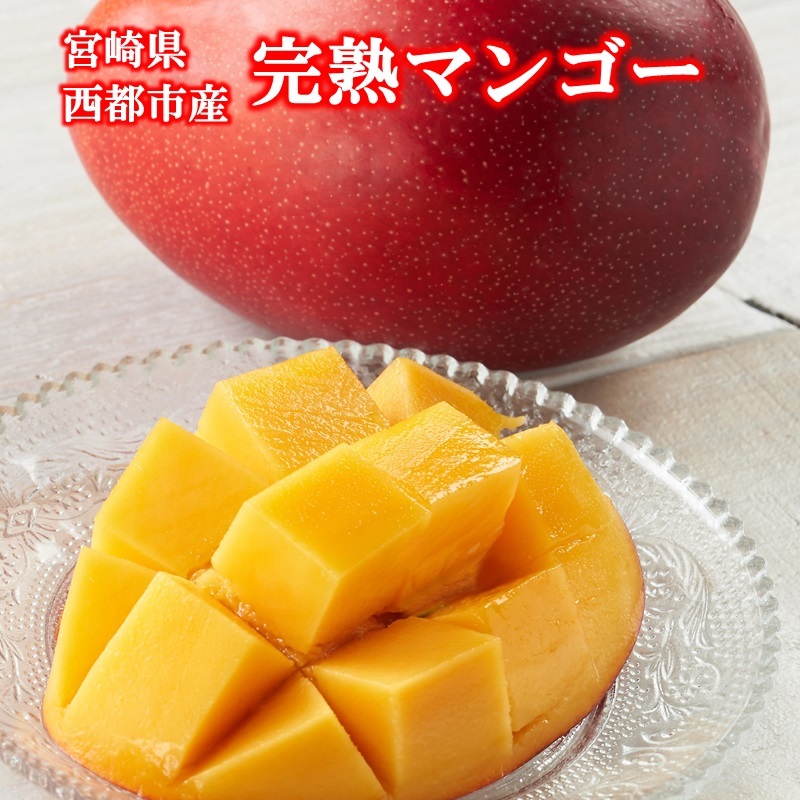 2027年発送 選べる内容量 西都産完熟マンゴー【先行予約】宮崎マンゴー＜73-1b＞＜73-2b＞＜73-3a＞＜73-4a＞