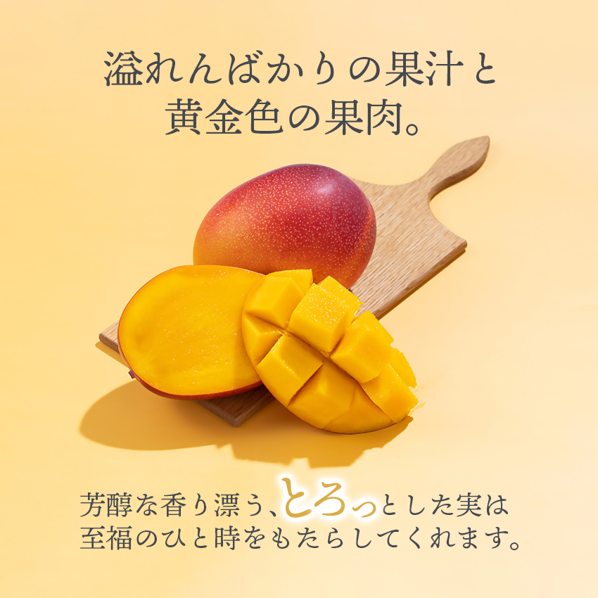 2027年発送 選べる内容量 西都産完熟マンゴー【先行予約】宮崎マンゴー＜73-1b＞＜73-2b＞＜73-3a＞＜73-4a＞