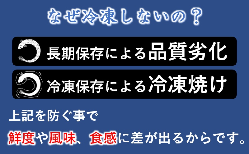 選べる内容量 国産うなぎのかば焼き 熟成たれ付 備長炭手焼き 炭火の香ばさ際立つ老舗「うなぎの入船」【テレビで紹介】<13-1a><13-2a><13-3a>