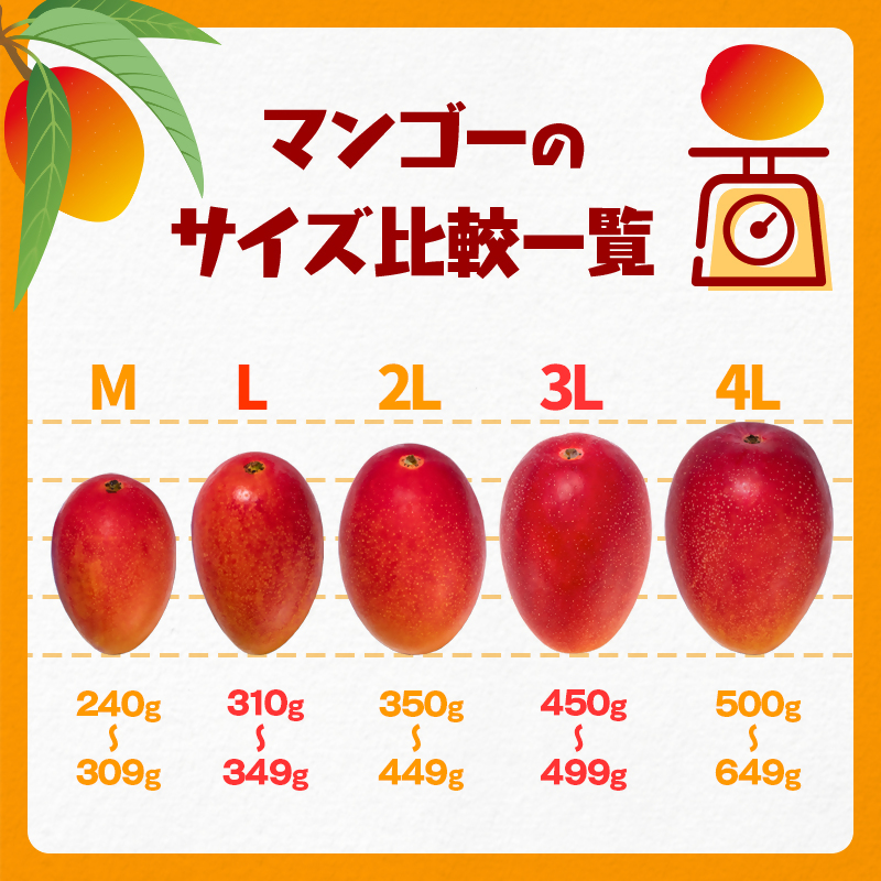 2027年発送【先行予約】最高級ブランド『太陽のタマゴ』大玉 「3L×2又は4L×2」【糖度15度以上】宮崎県西都市産完熟マンゴー＜71-1b＞＜71-2b＞