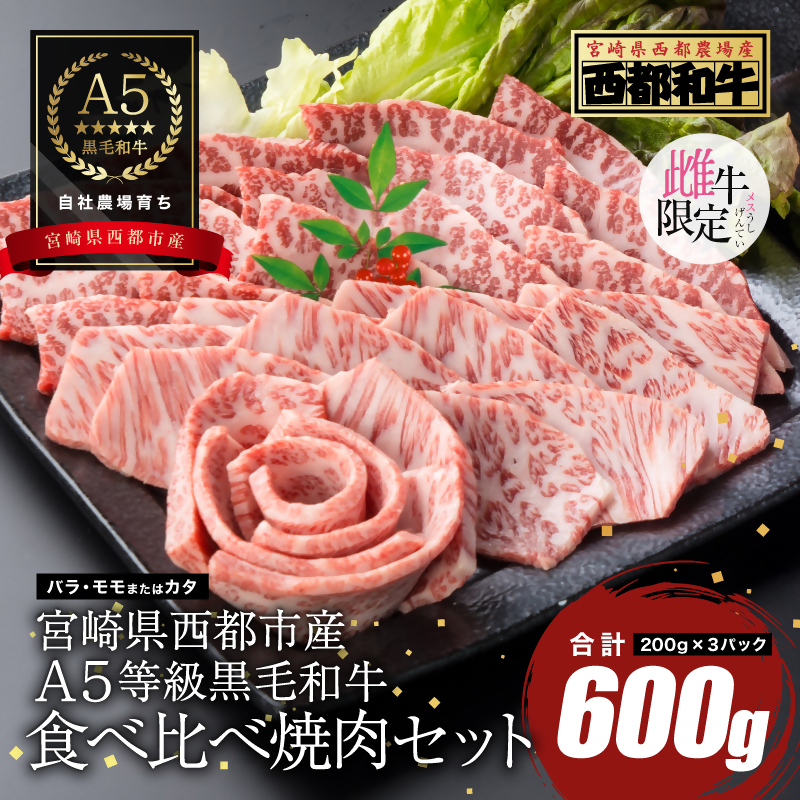 【雌牛限定！最高品質のA5等級 】厳選の黒毛和牛 食べ比べ焼肉セット 赤身・カルビ 600g （200g×3）オレイン酸含有率55%以上【カミチクファーム・西都和牛】小分け 国産牛肉 焼き肉 モモ カタ＜62-6a＞
