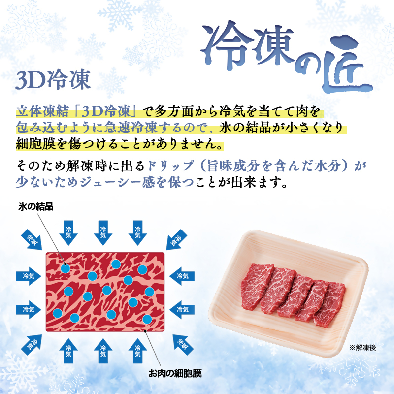 宮崎牛&宮崎県産豚肉 焼肉10種盛り 食べ比べセット計600g 4等級以上ブランド牛 内閣総理大臣賞4連覇 ミヤチク 黒毛和牛 国産牛肉 国産豚肉<47-3b>