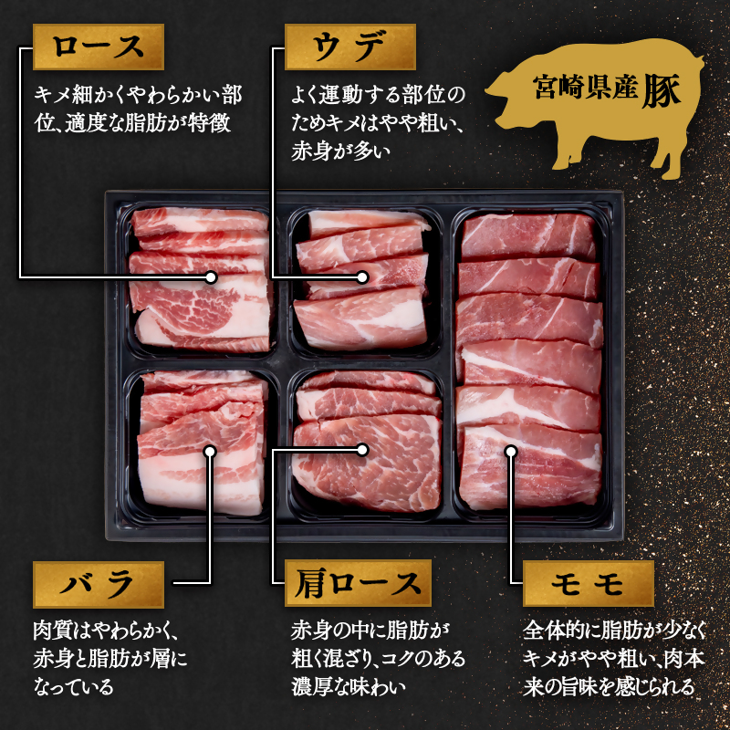 宮崎牛&宮崎県産豚肉 焼肉10種盛り 食べ比べセット計600g 4等級以上ブランド牛 内閣総理大臣賞4連覇 ミヤチク 黒毛和牛 国産牛肉 国産豚肉<47-3b>