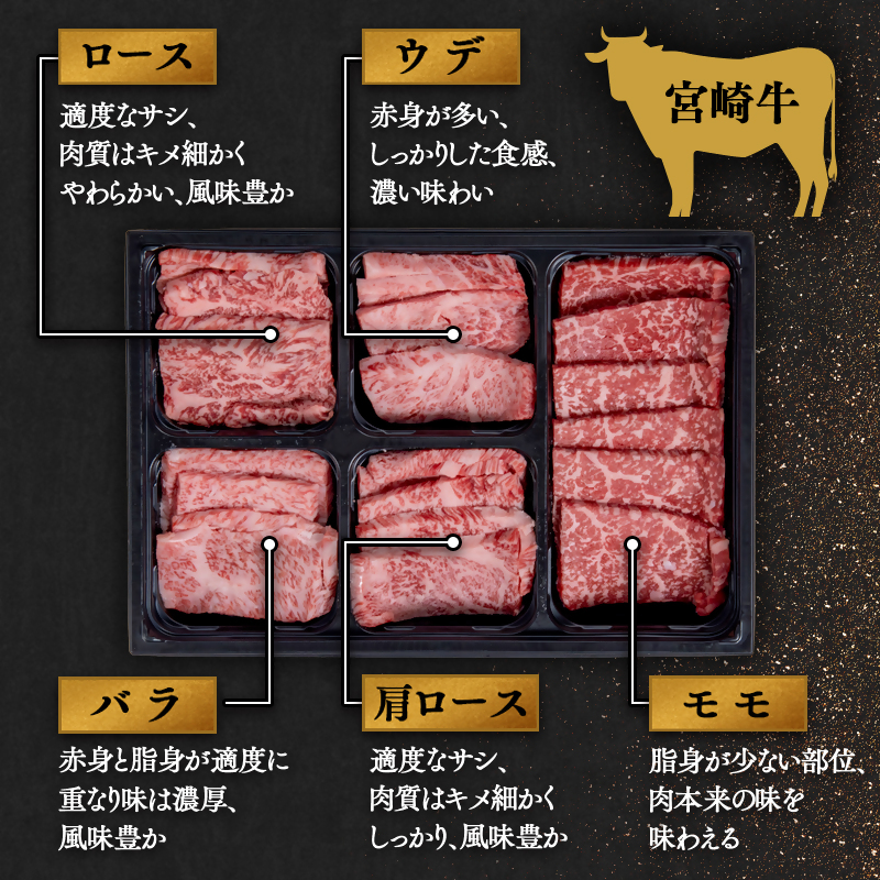 宮崎牛&宮崎県産豚肉 焼肉10種盛り 食べ比べセット計600g 4等級以上ブランド牛 内閣総理大臣賞4連覇 ミヤチク 黒毛和牛 国産牛肉 国産豚肉<47-3b>