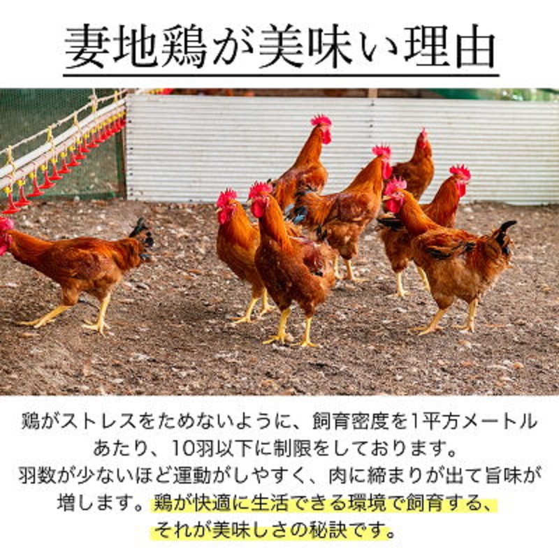 ブランド地鶏「妻地鶏」炭火焼 プレミアム詰合せ 100g×8パック 真空パック 国産鶏肉 宮崎名物＜8-10a＞お歳暮ギフト対応品
