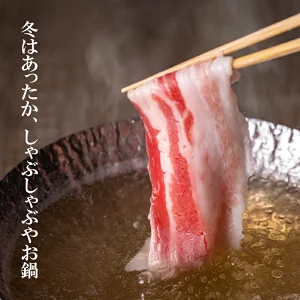 合計4kg !宮崎県産豚肉4種のしゃぶしゃぶセット ロース・バラ・肩ロース・小間切れ 小分け 鍋＜52-4a＞