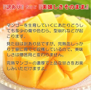 2027年発送 訳あり よくばり完熟マンゴー3玉 合計約1.2kg 生産者直送【マンゴー専門 スターフルーツカンパニ】先行予約＜33-1b＞