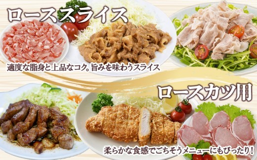 宮崎県産 豚肉 桜印ポーク5種セット(ローススライス / バラスライス / ロースカツ / 切り落とし / ミンチ) 合計5kg 小分け 冷凍 国産 九州産 肉 お肉 豚 詰め合わせ