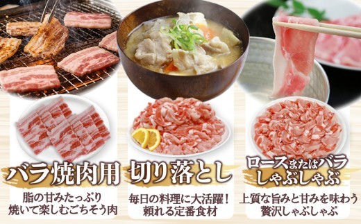 宮崎県産 豚肉 桜印ポーク5種セット (ロースまたは肩ローススライス / ロースまたはバラしゃぶしゃぶ / 切り落とし / ロースカツ / バラ焼肉) 合計3.2kg 小分け 冷凍 国産