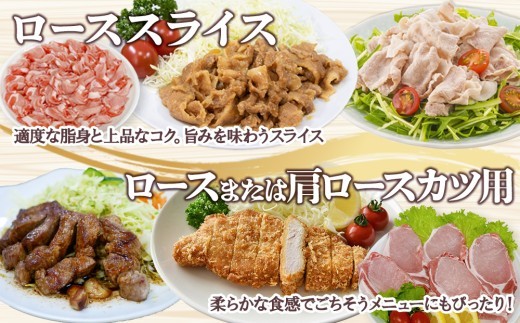宮崎県産 豚肉 桜印ポーク5種セット (ローススライス / ロースまたは肩ロースカツ / バラ焼肉 / 切り落とし / ミンチ) 合計3kg 小分け 冷凍 国産 九州産 肉 お肉