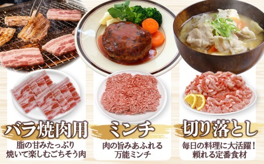 宮崎県産 豚肉 桜印ポーク5種セット (ローススライス / ロースまたは肩ロースカツ / バラ焼肉 / 切り落とし / ミンチ) 合計3kg 小分け 冷凍 国産 九州産 肉 お肉