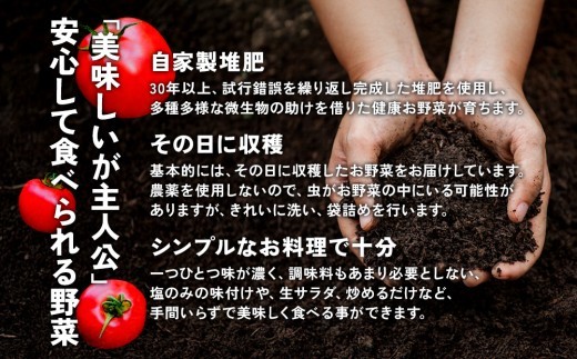 特別栽培季節のお野菜セット 8品 野菜 無農薬 有機栽培 新鮮 やさい 旬 詰合せ 国産 宮崎県 九州