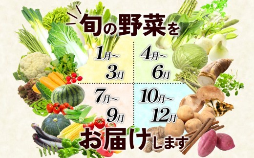 特別栽培季節のお野菜セット 8品 野菜 無農薬 有機栽培 新鮮 やさい 旬 詰合せ 国産 宮崎県 九州