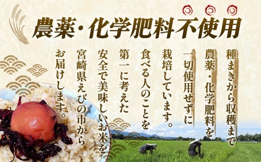 【ふるさと納税】（令和8年産 先行予約）米 新米 農家のこだわり食べ比べセット精米2㎏＋玄米2㎏ 合計4kg真空パック ヒノヒカリ お米 国産 宮崎県 九州 無農薬 有機栽培