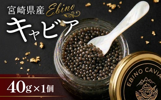 キャビア 国産 40g 冷凍 宮崎県 えびの市産