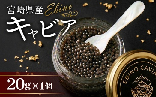 キャビア 国産 20g 冷凍 宮崎県 えびの市産
