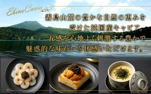 キャビア 国産 20g 冷凍 宮崎県 えびの市産