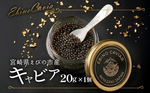 キャビア 国産 20g 冷凍 宮崎県 えびの市産