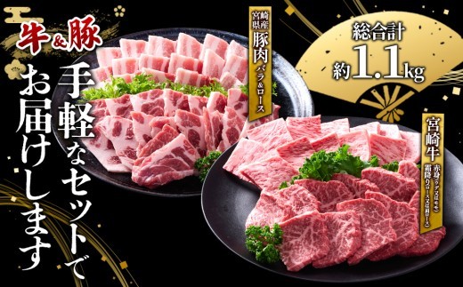 宮崎牛と宮崎県産豚の焼肉セット 計1.1kg（真空パック・小分け）