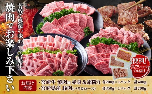 宮崎牛と宮崎県産豚の焼肉セット 計1.1kg（真空パック・小分け）