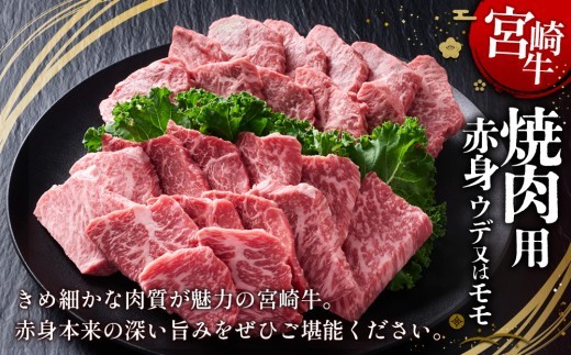 宮崎牛 焼肉用(赤身) 400g 真空パック