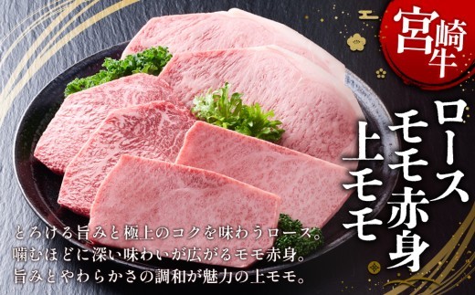 宮崎牛 ステーキ 食べ比べセット 800g (ロース/上モモ/赤身)