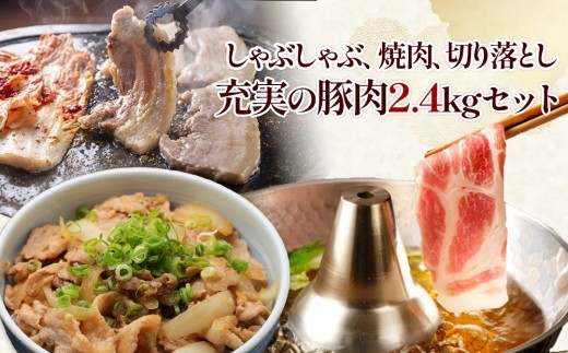 宮崎県産豚肉ミックス2.4kgセット【真空小分け】3種の料理(切り落とし・しゃぶしゃぶ・焼肉)が楽しめるバラエティ詰め合わせ