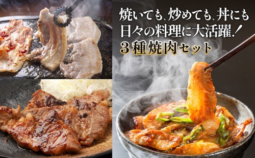 宮崎県産 豚肉 焼肉 3種食べ比べ 定期便【全3回】合計1.8kg (600g×3回) 真空小分けパック (肩ロース・バラ・豚トロ) 国産
