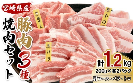 宮崎県産 豚肉 焼肉 3種食べ比べセット 合計1.2kg (肩ロース・バラ・豚トロ) 200g×6パック 真空小分けパック 冷凍 国産
