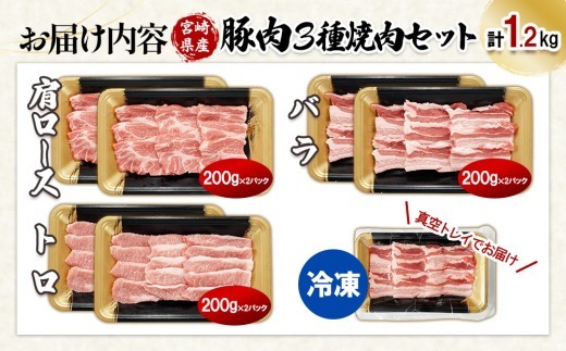 宮崎県産 豚肉 焼肉 3種食べ比べセット 合計1.2kg (肩ロース・バラ・豚トロ) 200g×6パック 真空小分けパック 冷凍 国産