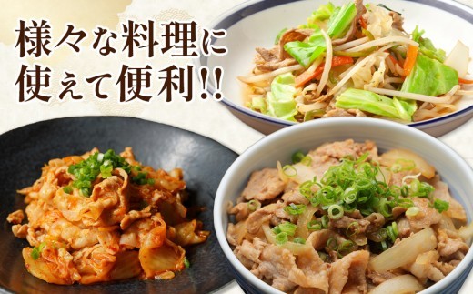 宮崎県産 豚肉 切り落とし 合計1.2kg (300g×4パック) 真空小分けパック 冷凍 国産