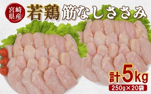 宮崎県産 若鶏筋なしささみ 5kgセット (250g×20袋) 鶏肉 ささみ 鶏ささみ 小分け 真空パック タンパク質 チキン冷凍 国産 宮崎県産 九州