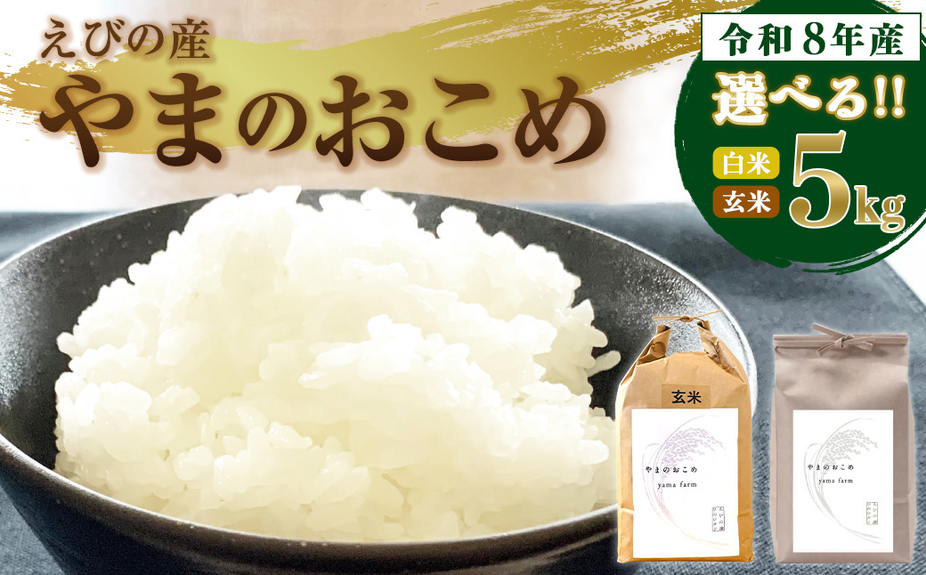 【令和8年産】えびの産 選べる ヒノヒカリ 米 やまのおこめ 5kg 玄米 白米 お米 国産 宮崎県 九州 ひのひかり 送料無料 おにぎり こめ コメ