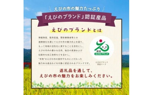 京町二日市 名物 味付 焼豚足 1本160g 10本 豚足 豚 屋台 冷蔵 とんそく お肉 豚肉 おつまみ 真空パック 国産 九州 「えびのブランド」認証産品