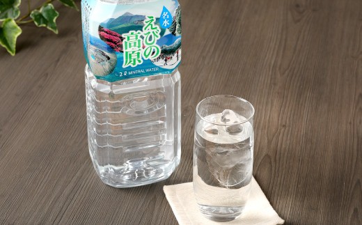 シリカ水 5年保存 名水えびの高原の備蓄水 硬度43.4の軟水 2L 合計12本 6本入×2ケース 長期保存水 保存水 防災水 備蓄水(防災 災害 等) 飲料水 水 お水 シリカ 赤ちゃん 調乳